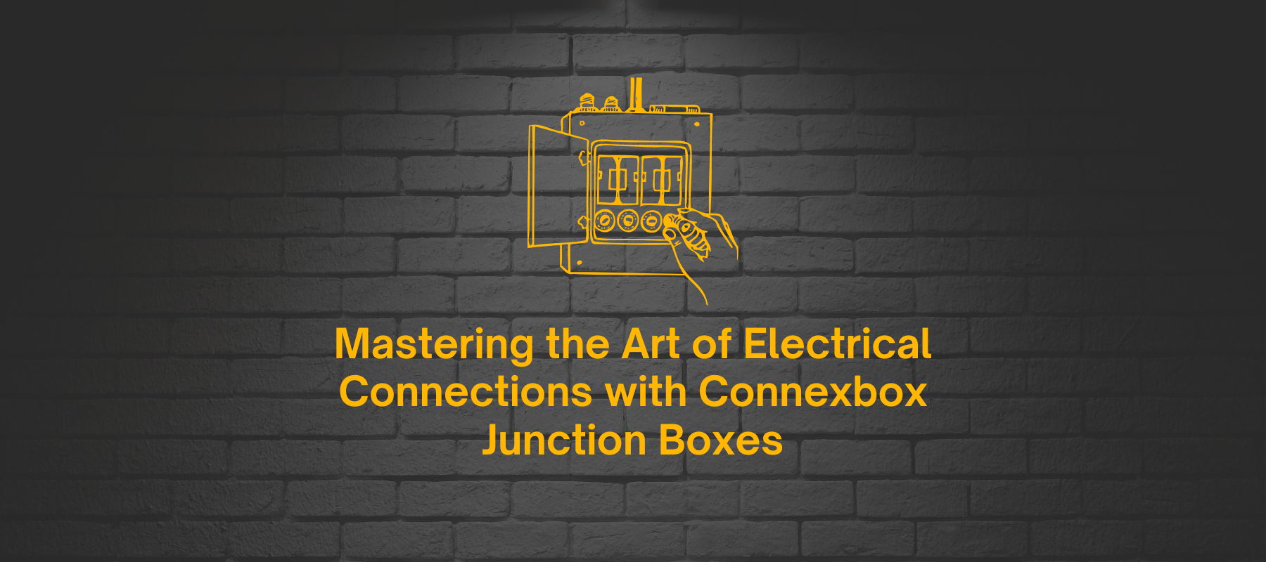 Mastering the Art of Electrical Connections with Connexbox® Junction Boxes